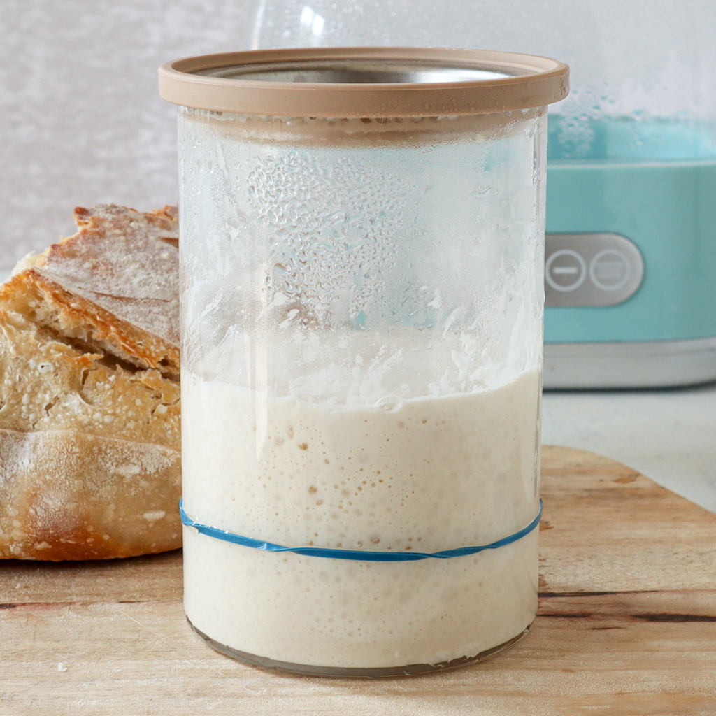 Make Sourdough Bread Starter in a Luvele Yogurt Maker