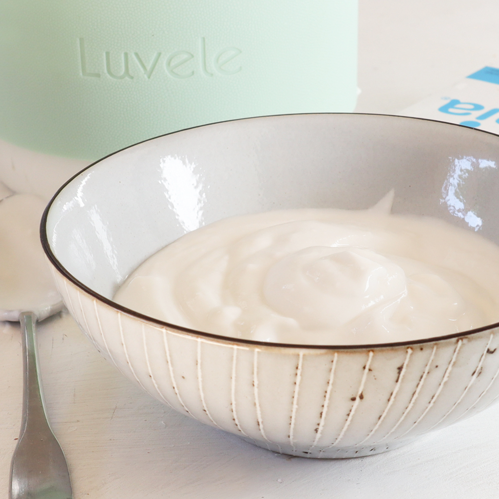Step by step L.Reuteri coconut yogurt recipe