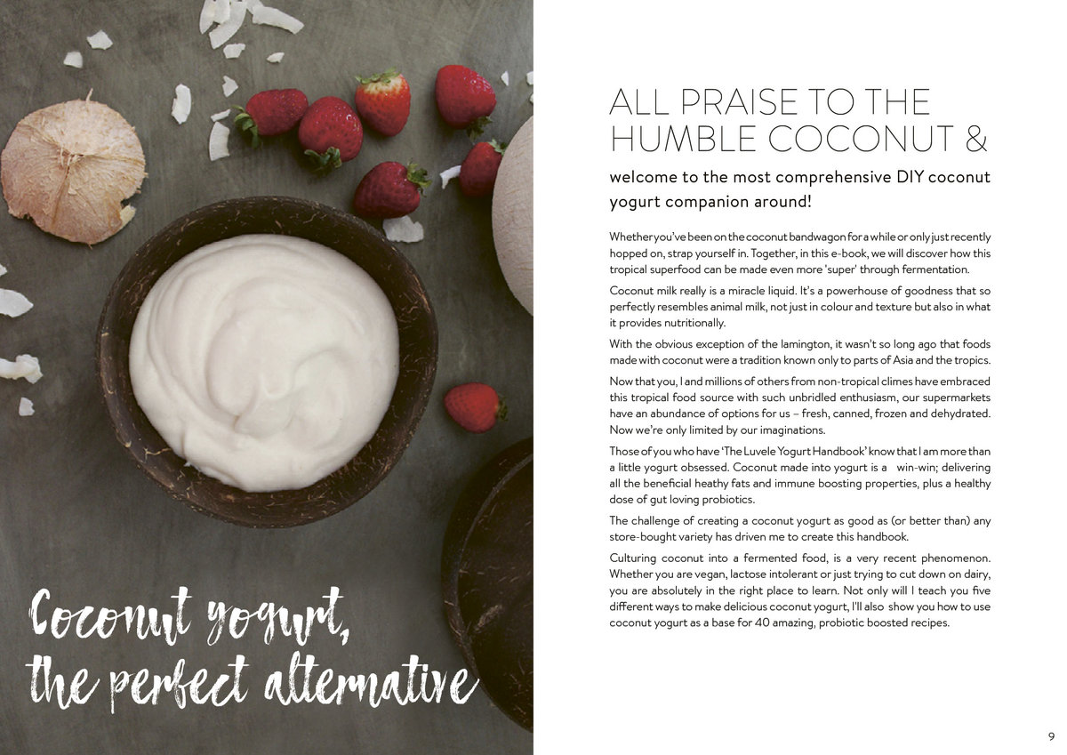 Coconut Yogurt Recipe E-Book